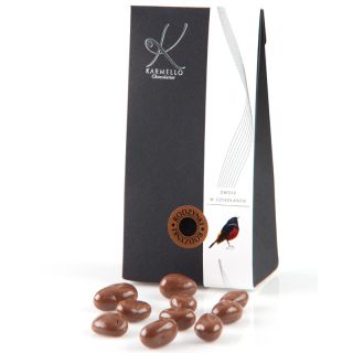 Milk Chocolate-Covered Raisins - Bag