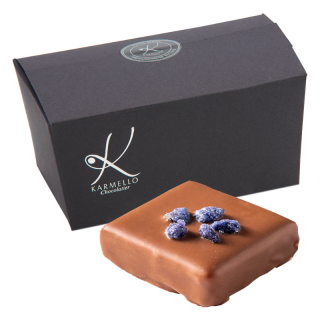 Violet - Large Coffret